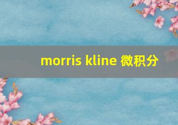 morris kline 微积分